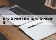 软件开发学徒是不是坑（软件开发学徒8k包住）