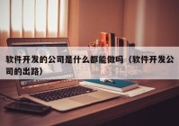 软件开发的公司是什么都能做吗（软件开发公司的出路）