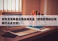 软件开发销售公司名称大全（软件开发的公司取什么名字好）