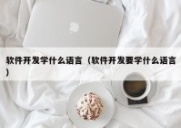 软件开发学什么语言（软件开发要学什么语言）