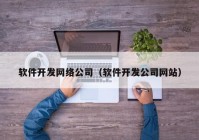 软件开发网络公司（软件开发公司网站）