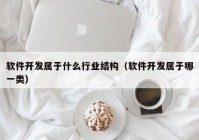 软件开发属于什么行业结构（软件开发属于哪一类）