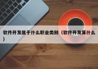 软件开发属于什么职业类别（软件开发算什么）