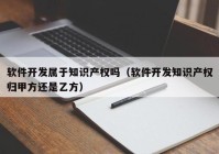 软件开发属于知识产权吗（软件开发知识产权归甲方还是乙方）