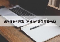 想学好软件开发（学好软件开发需要什么）