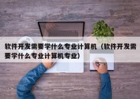 软件开发需要学什么专业计算机（软件开发需要学什么专业计算机专业）