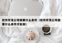 软件开发公司需要什么条件（软件开发公司需要什么条件才能做）