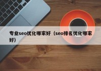 专业seo优化哪家好（seo排名优化哪家好）