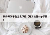 软件开发平台怎么下载（开发软件app下载）